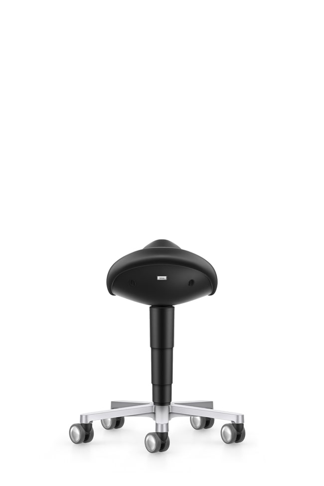 Fisherbrand Saddle chair black