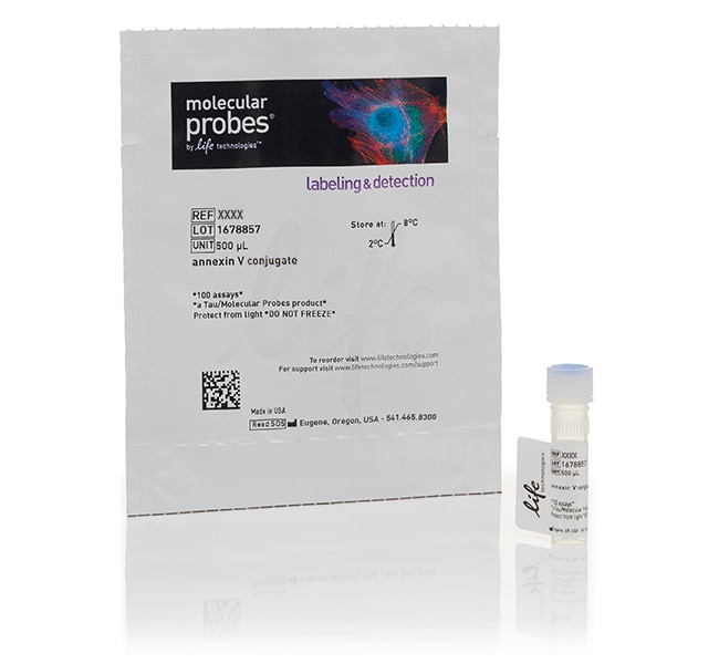 Annexin V, Alexa Fluor 350 conjugate, 10