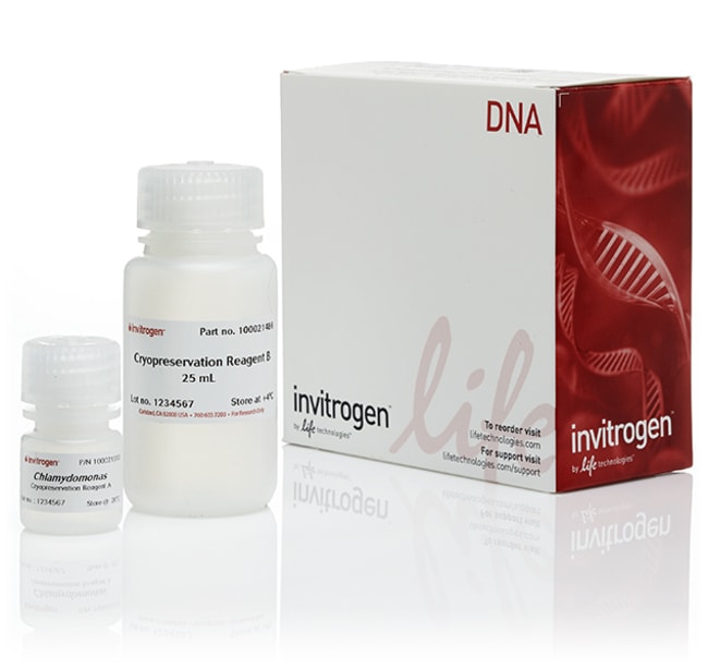 GENEART CRYOPRESERVATION KIT FOR ALGAE