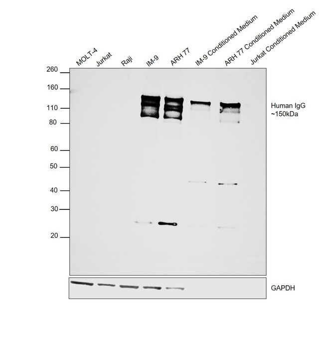 0.5MG GTXHU HRP XADS F(AB')2 .