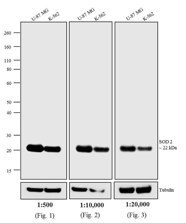 0.5MG DKXMU BIO HIGH XADS F(AB')2