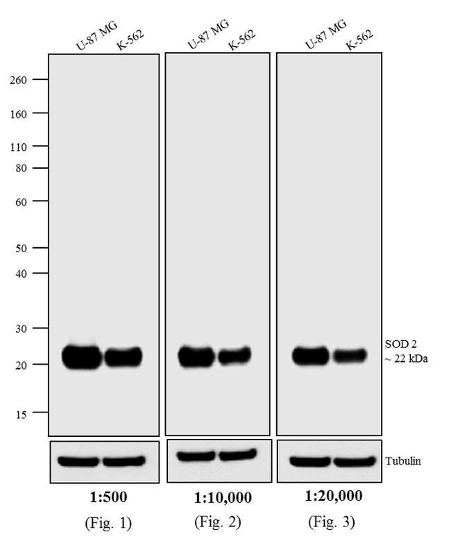 0.5MG GTXMU BIO XADS F(AB')2 .