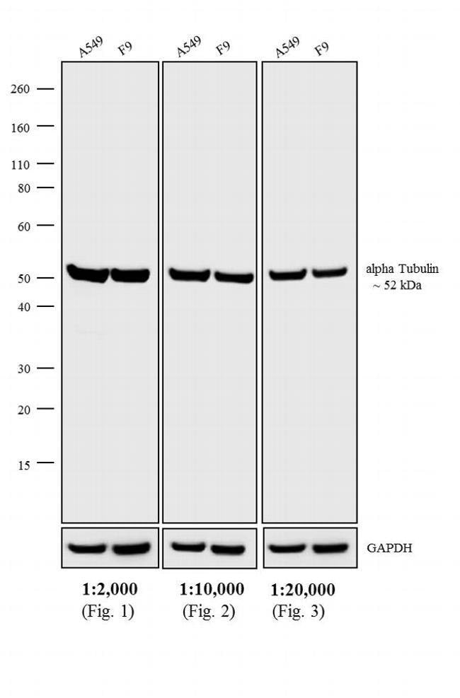 0.5MG DKXRT HRP HIGH XADS F(AB')2