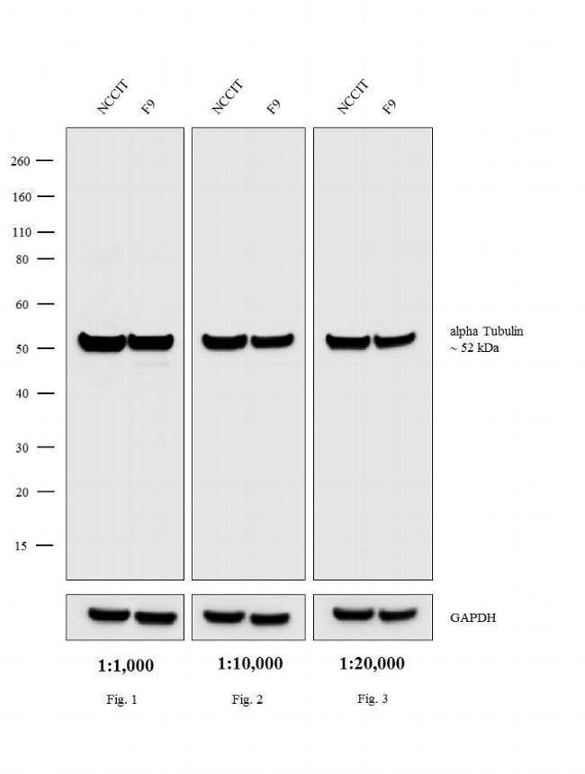 0.5MG GTXRT HRP XADS F(AB')2 .