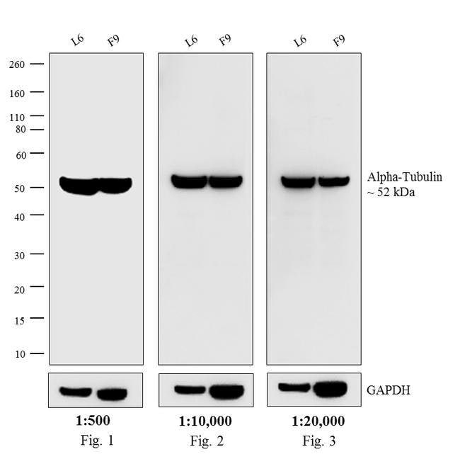 0.5MG GTXRT BIO XADS F(AB')2 .