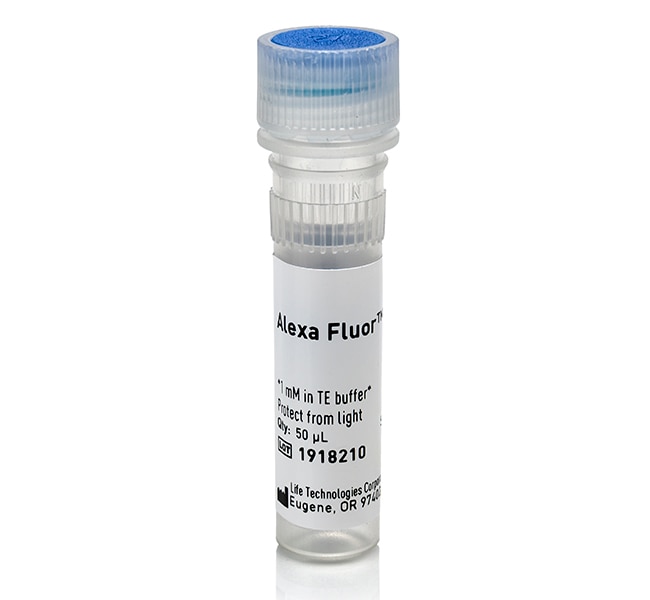 Alexa Fluor 555-aha-dCTP 1 mM in TE buff