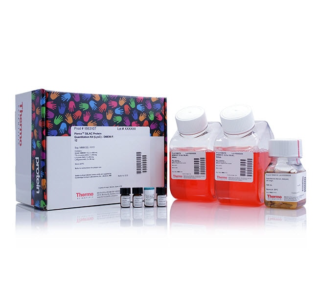 1 Kit Silac Protein QUANT DMEM:F-12
