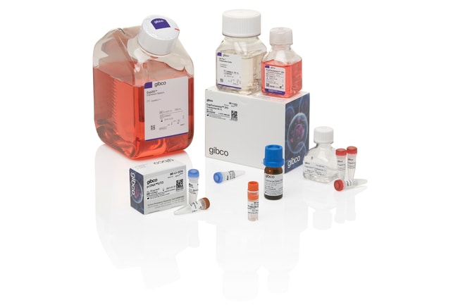 1 SET EXPI293 INDUCIBLE EXP SYSTEM