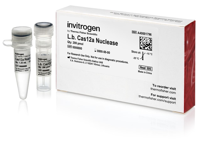 L.B. CAS12A NUCLEASE 20 uL
