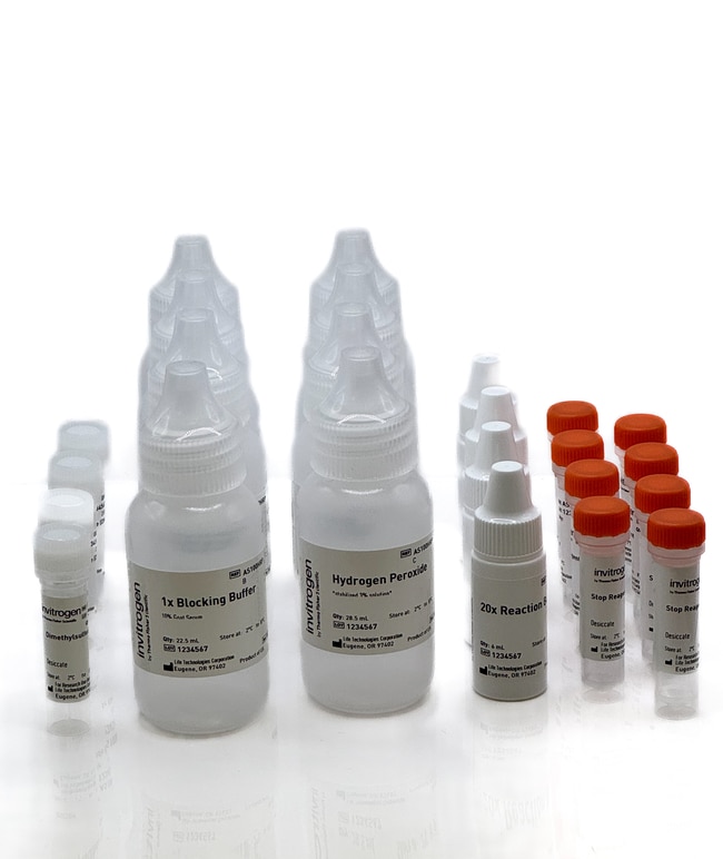 800RXN S1000 ALUORA SPATIAL REAGENTS 100