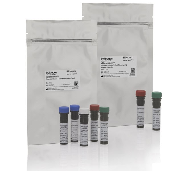 100RXN ESSEN HUMAN T-CELL PHENOTY KIT .