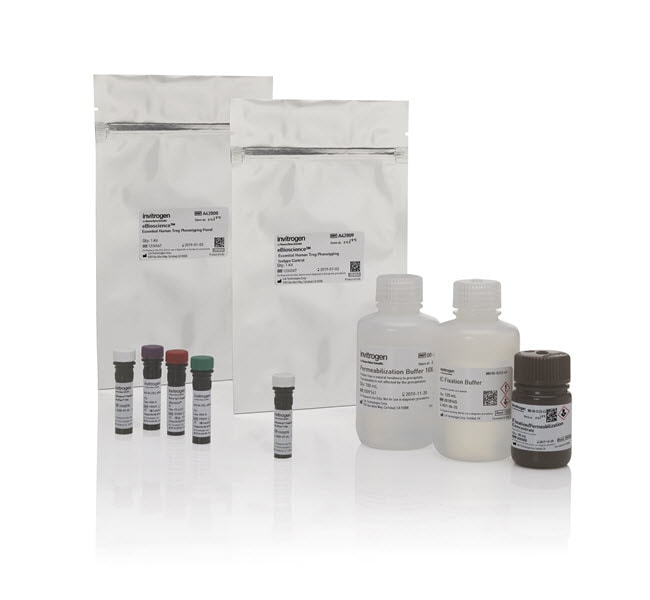 100RXN ESSEN HUMAN TREG PHENOTY KIT .