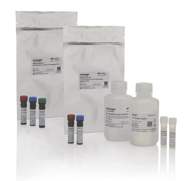 100RXN ESSEN HU TH1/TH17 PHENOTY KIT .