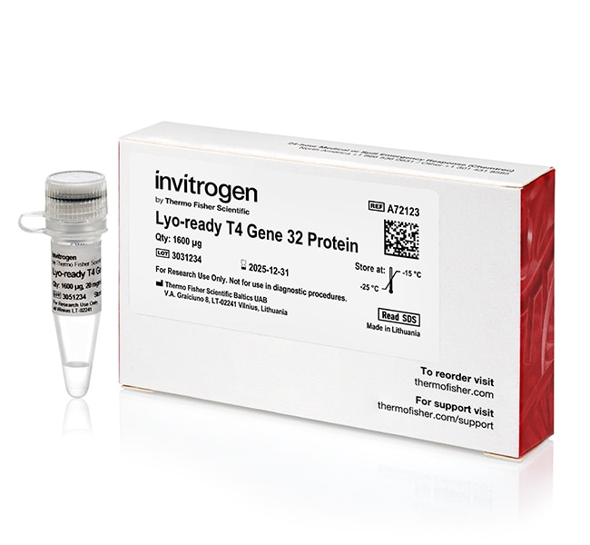 LYO-READY T4 GENE 32 PROTEIN 1600 UG