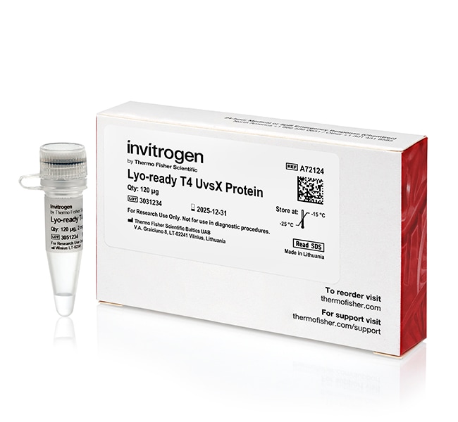 LYO-READY T4 UVSX PROTEIN 120 UG