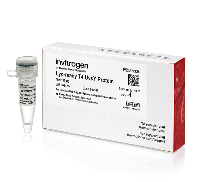 LYO-READY T4 UVSY PROTEIN 120 UG