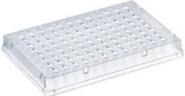 Thermo Scientific Thermo-Fast Platten mi