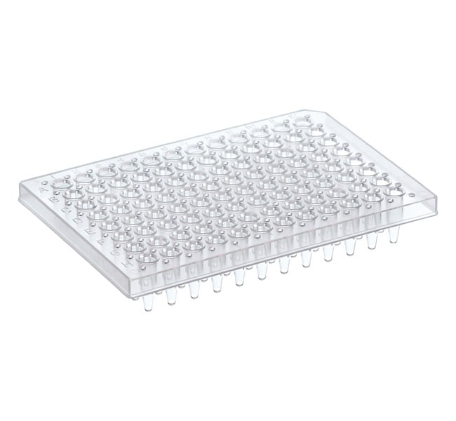 X25 THERMO-FAST 96 PCR DET PLATE     . .