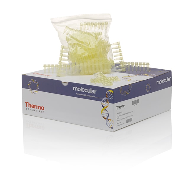 Strips of 8 Thermo-Tubes (Yellow) (VE=25