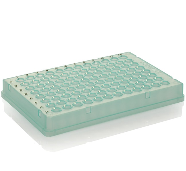 Thermo-Fast® 96 PCR Plate Skirted, Low P