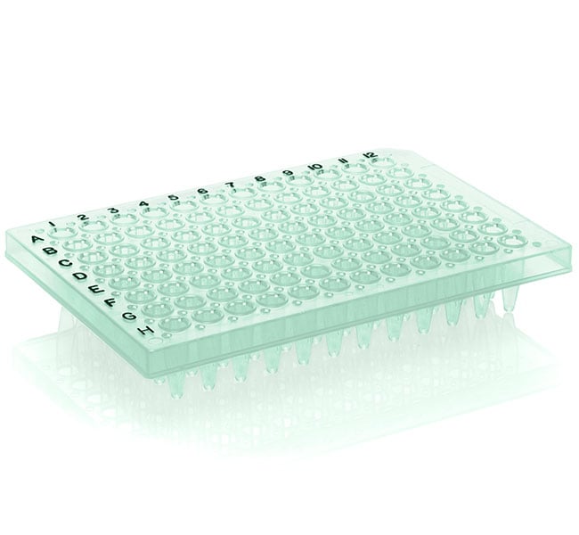 Thermo-Fast 96 PCR Detection Plate Mark