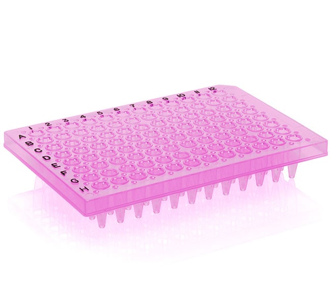 Thermo-Fast 96 PCR Detection Plate Mark
