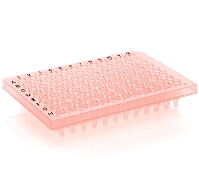 X25 THERMOFAST 96 DETECTION PLATE     .