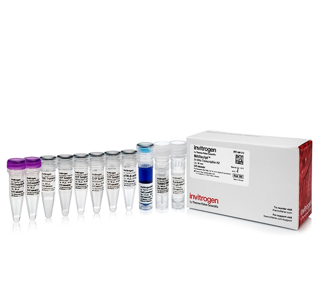 Ambion® MAXIscript® T7 In Vitro Trans- c