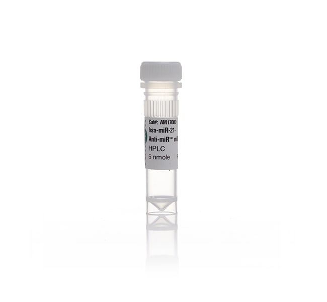 Anti-miR miRNA Inhibitor, 5 nmol 0