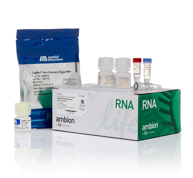 100RXN GENE EXPRESSION CELLS-TO-CT KIT