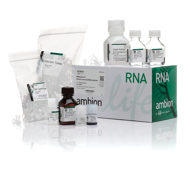 Ambion® RNAqueous®-Midi Kit, 50 purifica