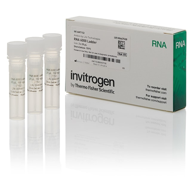 Ambion® RNA 6000 Ladder, (20 µl tube), 3