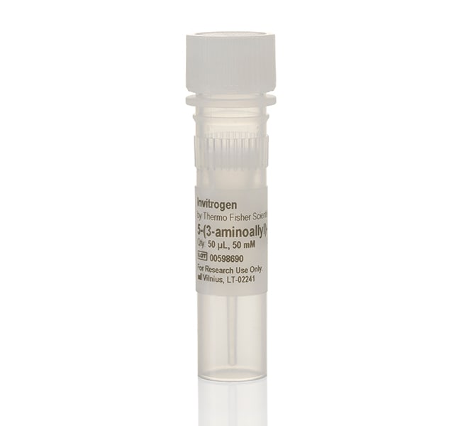 5-(3-aminoallyl)-dUTP (50 mM), each Ambi