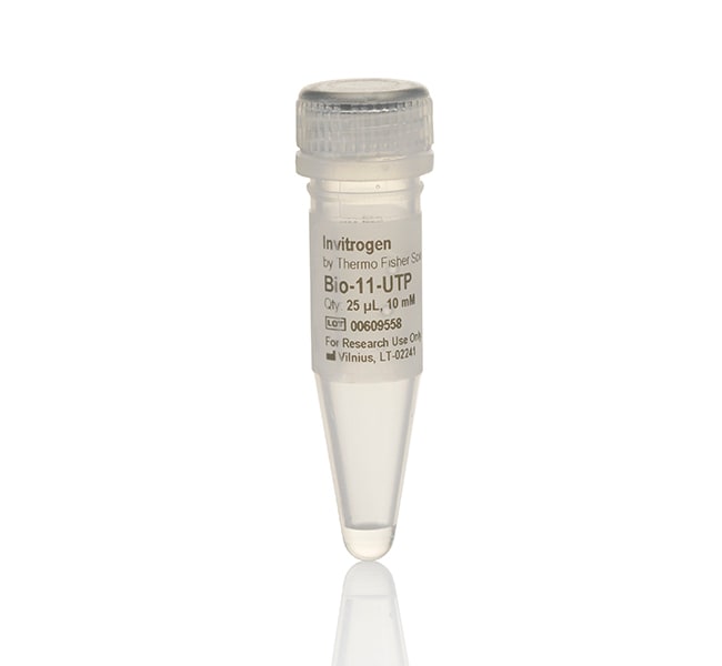 10 mM Bio-11-UTP,25 µL Ambion® Biotinyla