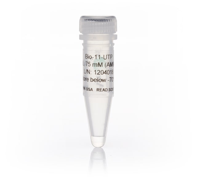 75 mM Bio-11-UTP,30 µL Ambion® Biotinyla