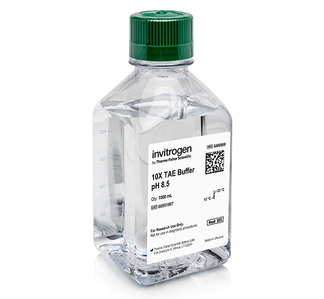 1L TAE BUFFER CONCENTRATED 10X Molecular
