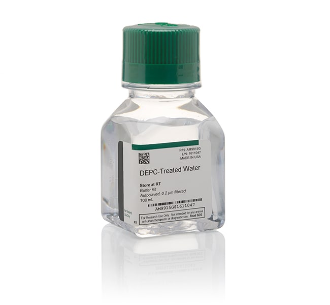 1 x 100 ml, Store at room temperature.,