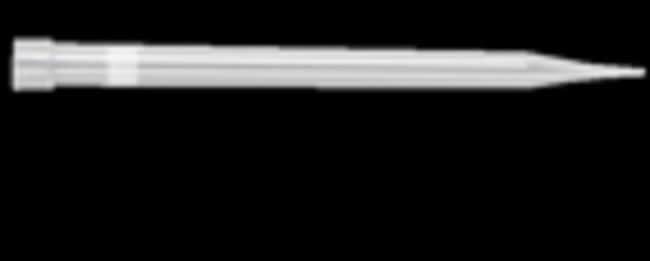 Thermo Scientific Molecular BioProducts