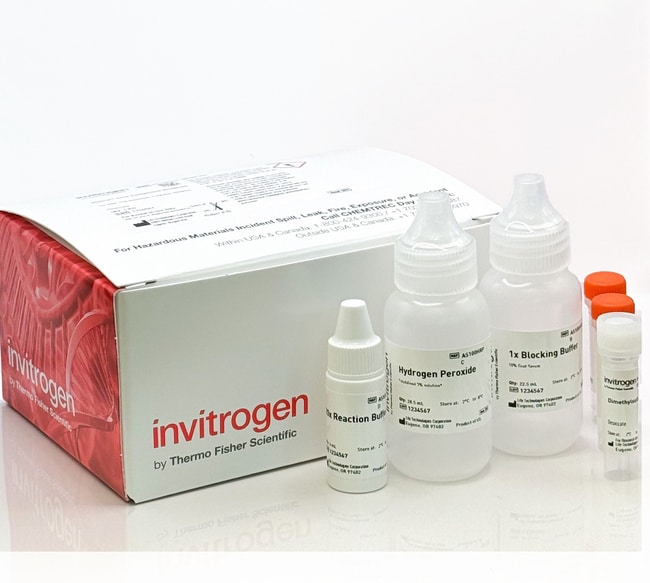 200RXN ALUORA CORE REAGENTS 1 kit