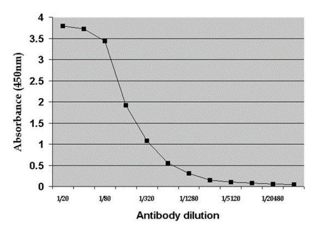 1 ML Albumin Sheep polyclonal antibody,