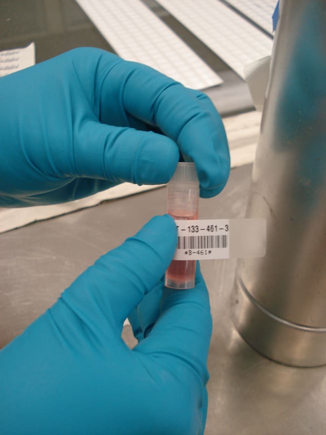 1 ROLL Self-Laminating Cryogenic Polyest