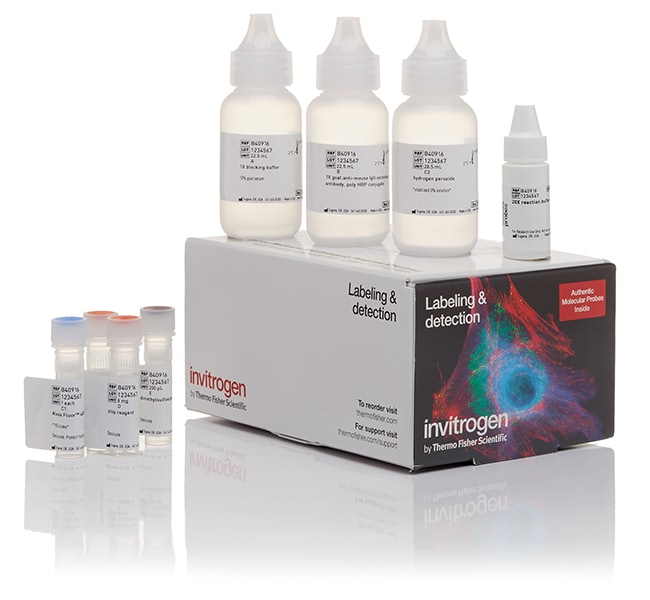 1 KIT of Alexa Fluor647 Tyramide SuperBo