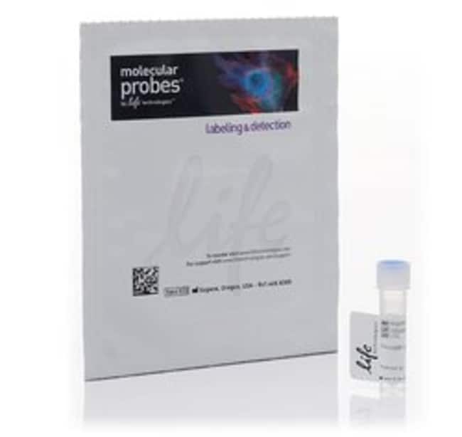 Alexa Fluor 594 Phalloidin, 300 units Al