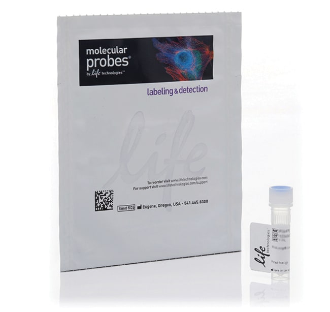 300UNIT RHODAMINE PHALLOIDIN Rhodamine p