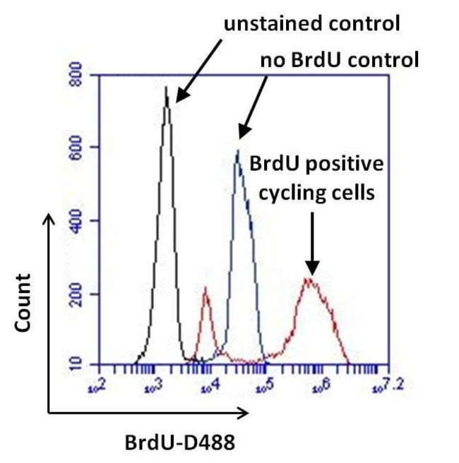 100 UG CONJUGATED BrdU Antibody DyLight