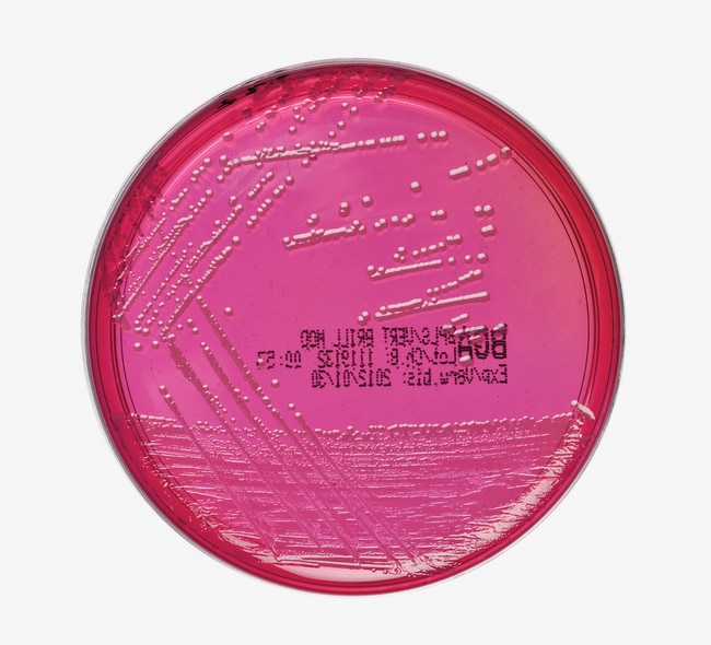 Thermo Scientific Brilliantgru¨n-Agar, B