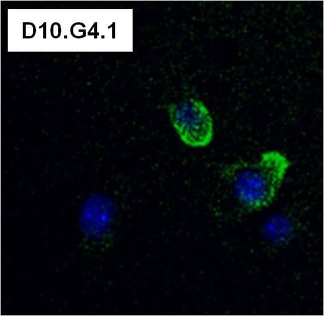 100UL CD4 Monoclonal Rat Antibody