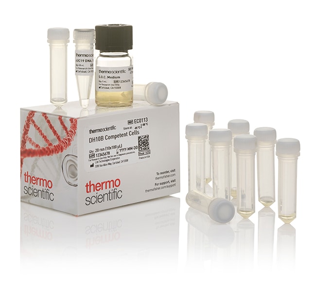 20RXN THERMO SCIENTIFIC DH10B .