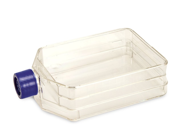 TripleFlask, 500 cm², unbehandelt, mit F