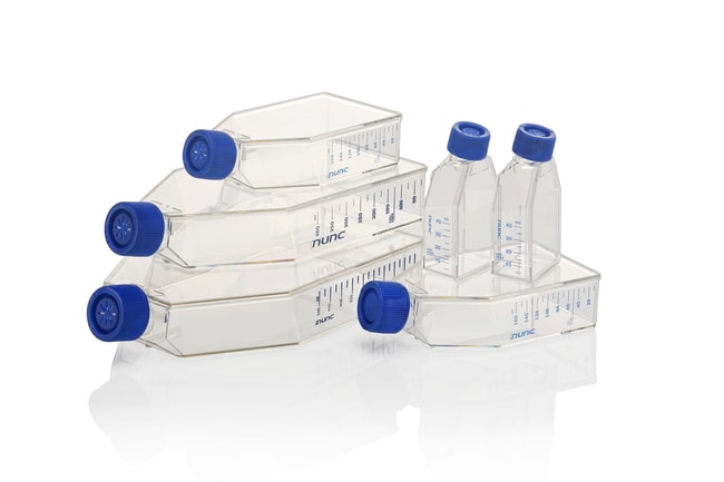 Thermo Scientific Nunc EasYFlask Zellkul